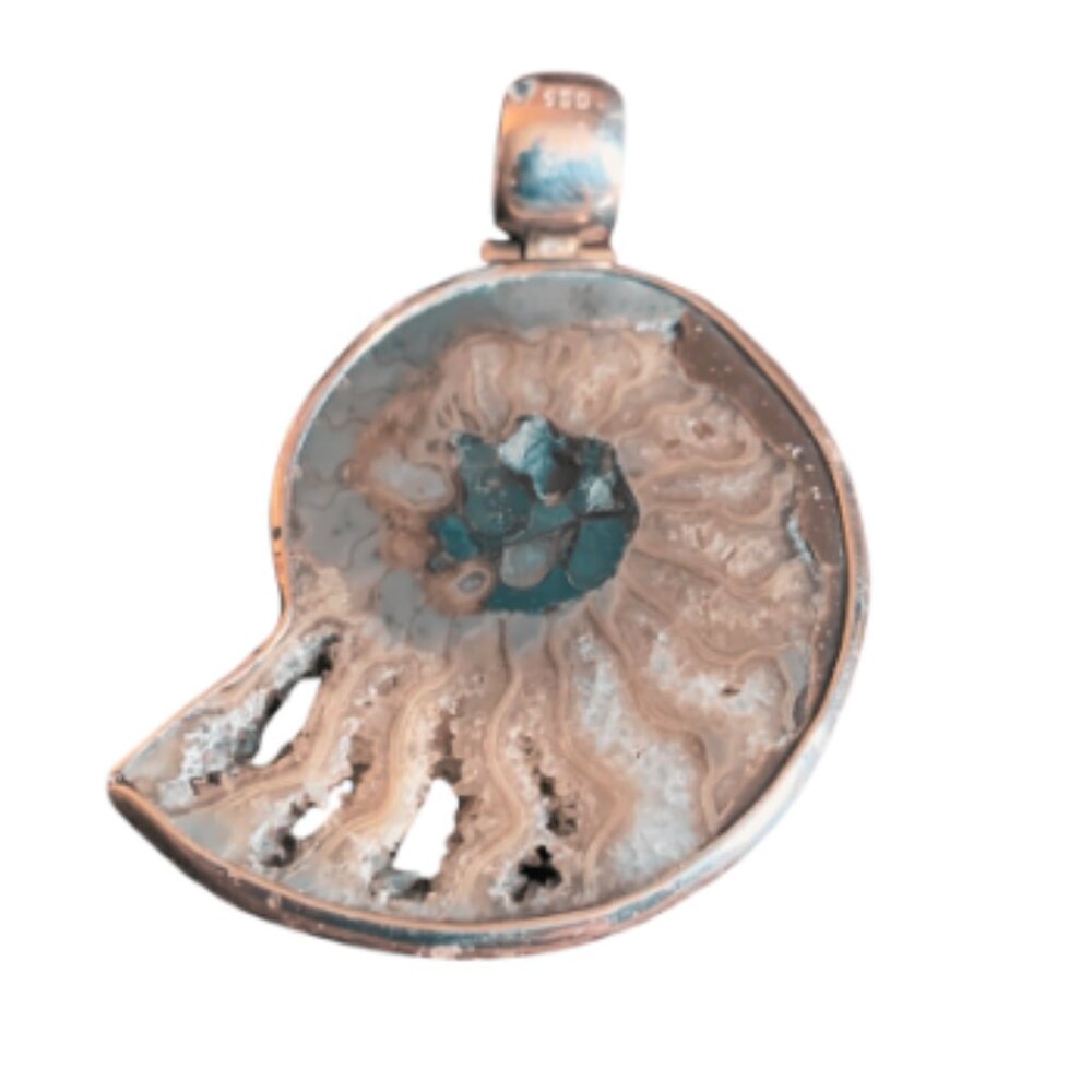 Ammonite Fossil Sterling 950 Pendant